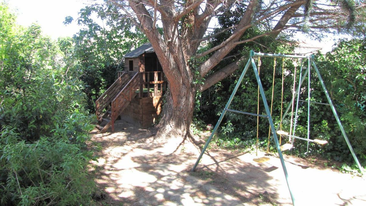 Appartamento Location saisonnière Coursan Esterno foto